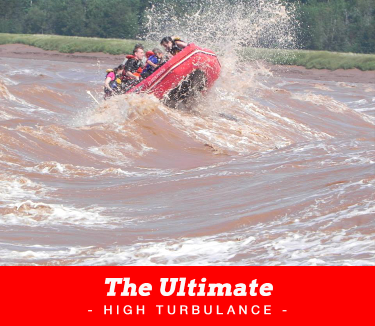 The-Ultimate