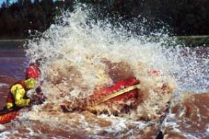 gallery-images14