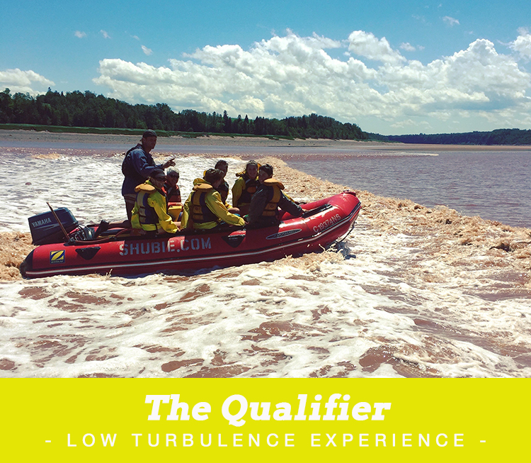 The-Qualifier